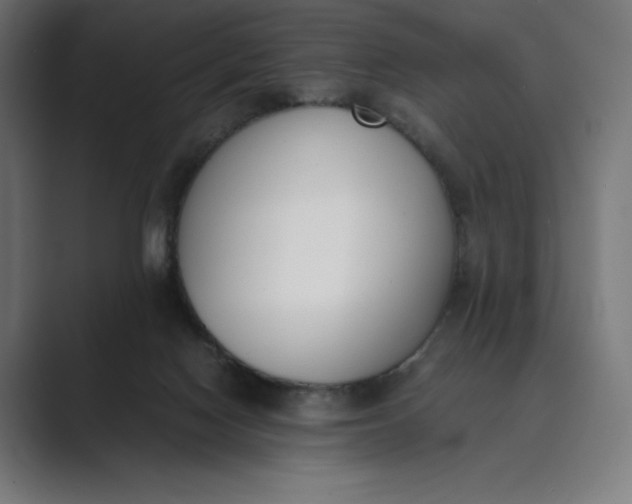 X0000089400074200706291415