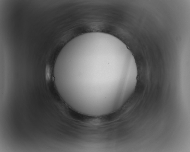 X0000089400075200706291415