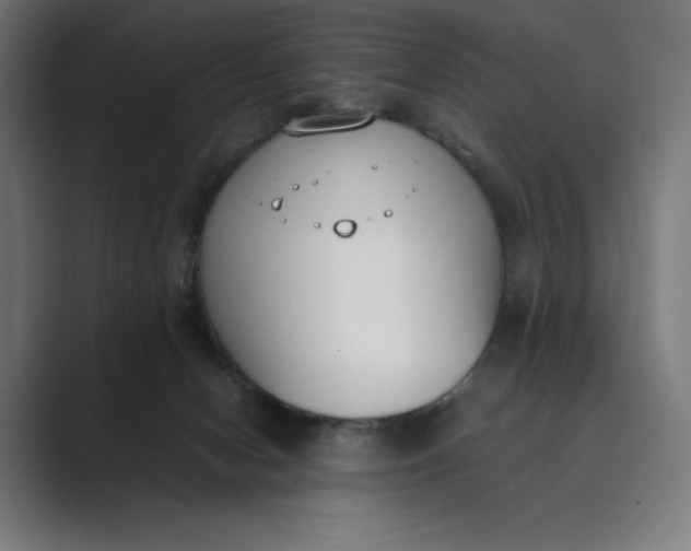 X0000089400078200706291415