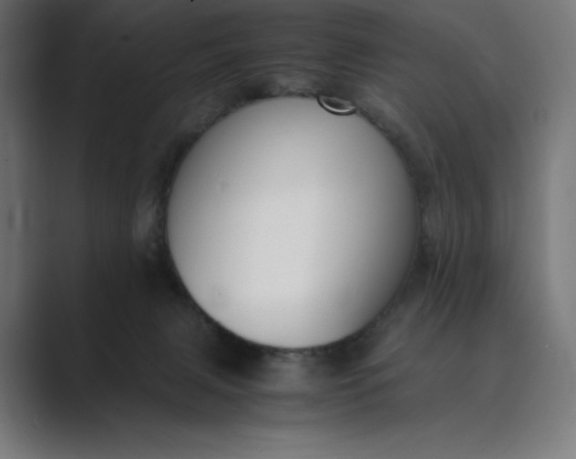 X0000089400079200706291415