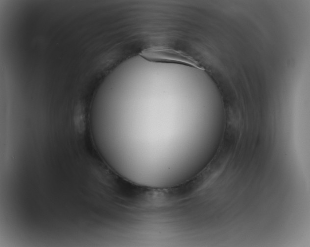 X0000089400080200706291415