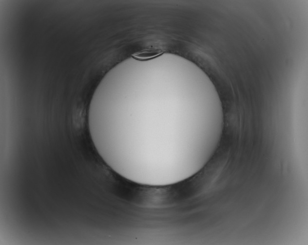 X0000089400081200706291415