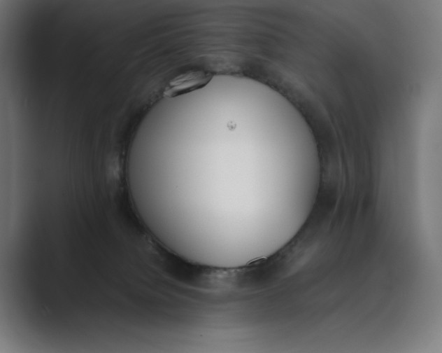 X0000089400084200706291415