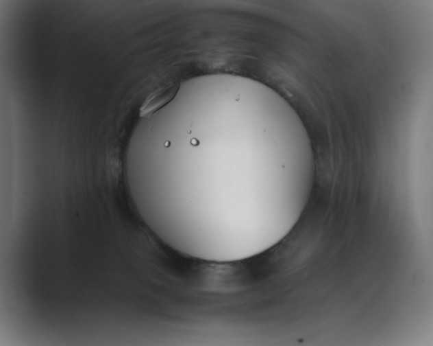 X0000089400085200706291415