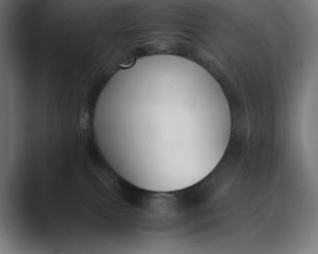 X0000089400087200706291415