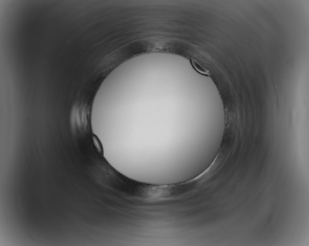 X0000089400094200706291415