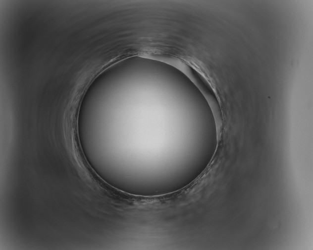 X0000089400097200706291414