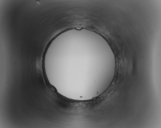 X0000089400100200706291414