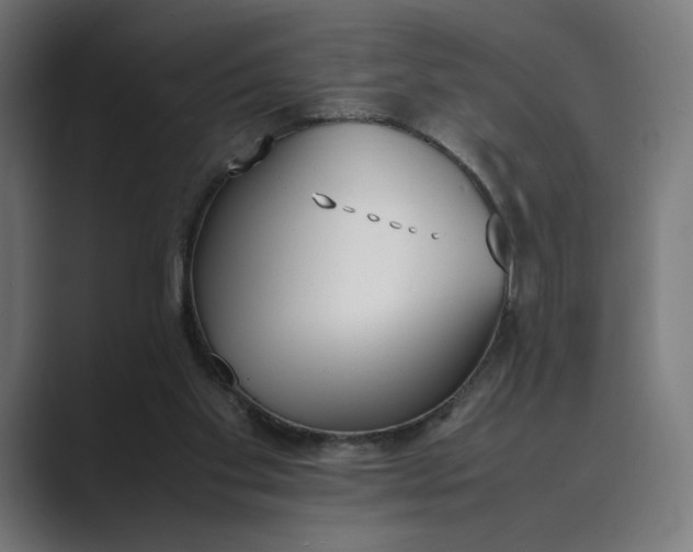 X0000089400109200706291414