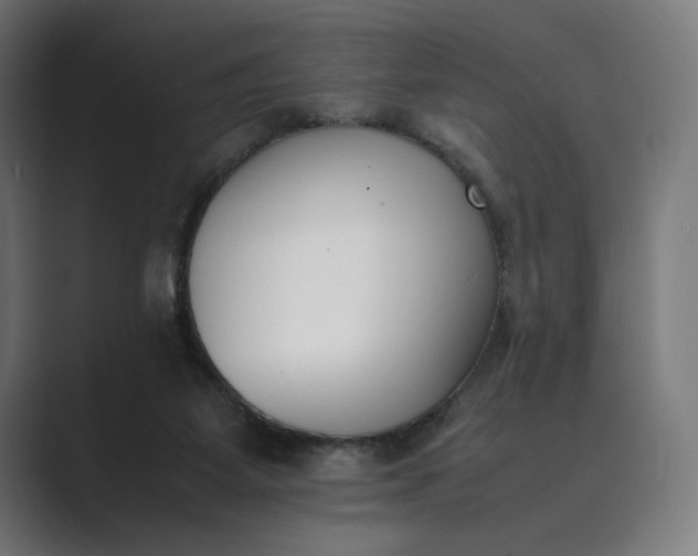 X0000089400115200706291414