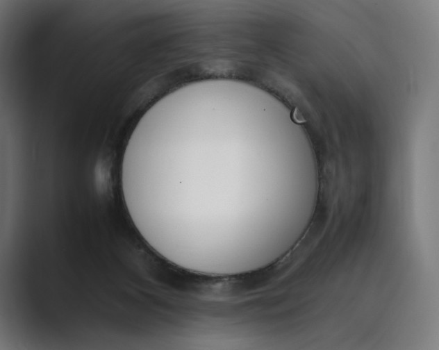 X0000089400116200706291414