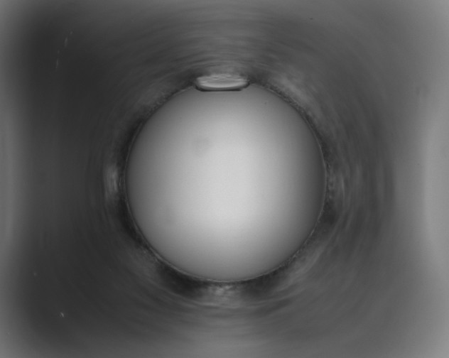 X0000089400117200706291414