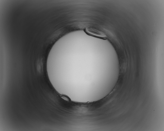 X0000089400120200706291414