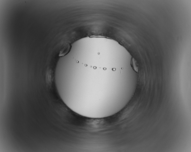 X0000089400135200706291414