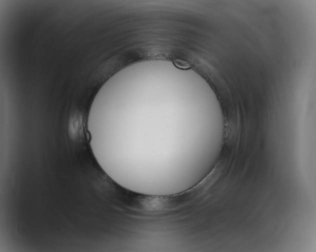 X0000089400142200706291414