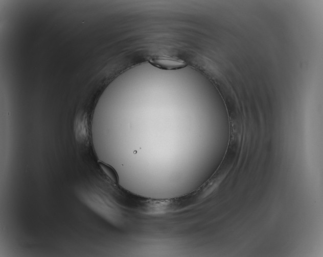 X0000089400143200706291414