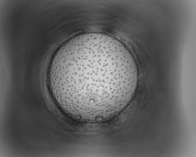 X0000089400145200706291413