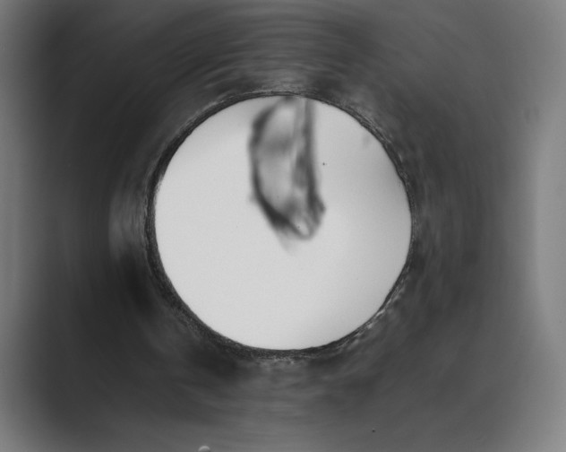 X0000089400146200706291413