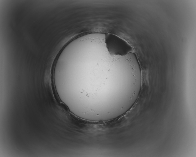 X0000089400147200706291413