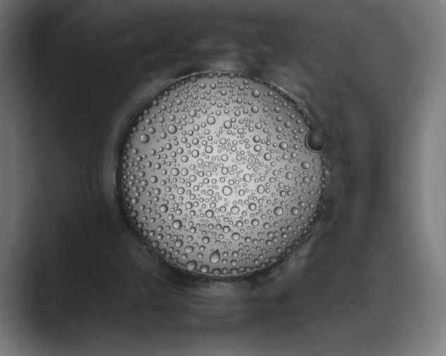 X0000089400149200706291413