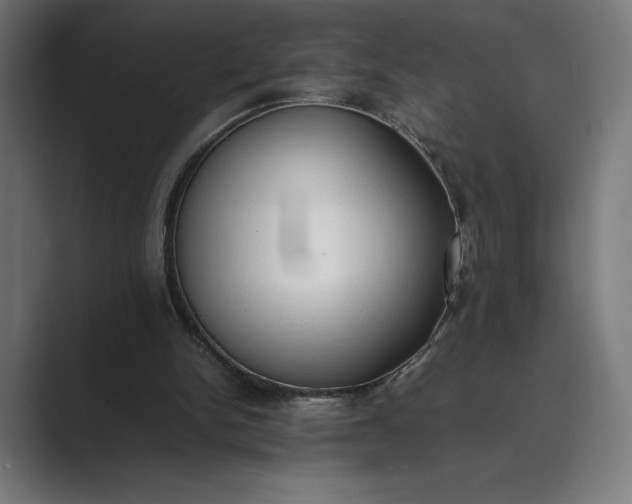 X0000089400150200706291413