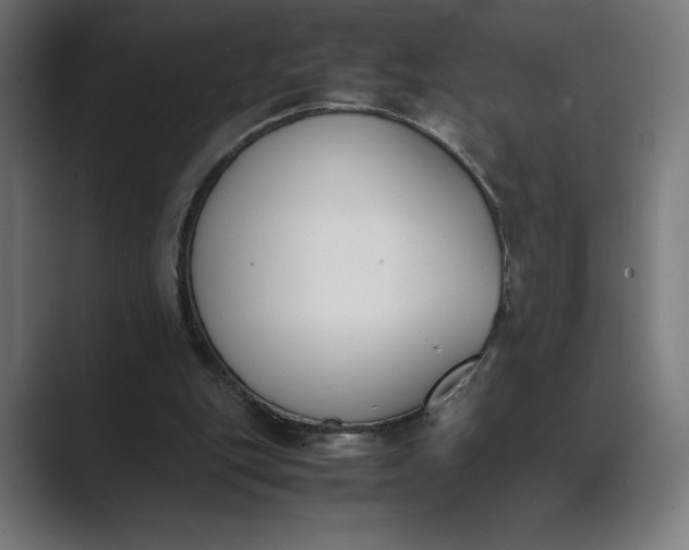 X0000089400151200706291413