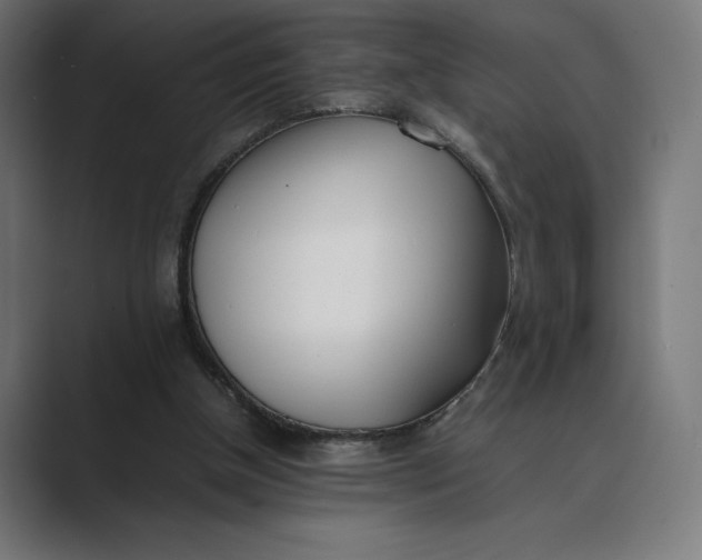 X0000089400154200706291413