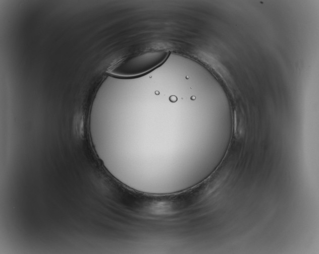 X0000089400157200706291413