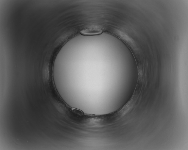 X0000089400158200706291413