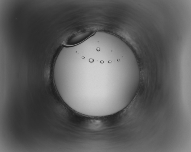 X0000089400159200706291413