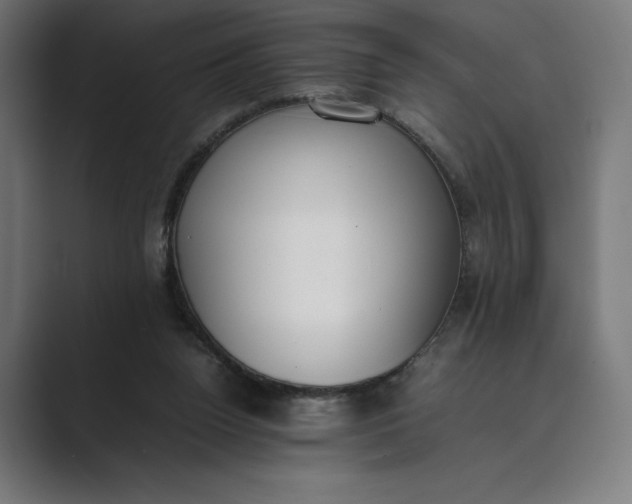 X0000089400160200706291413