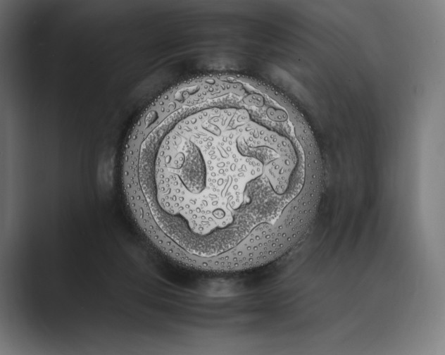 X0000089400163200706291413