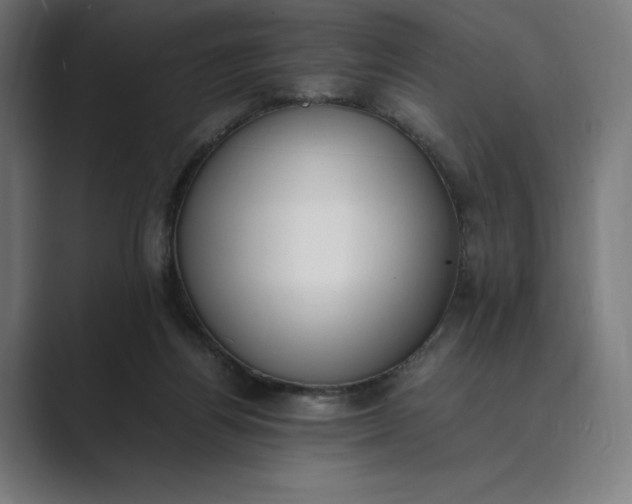 X0000089400164200706291413