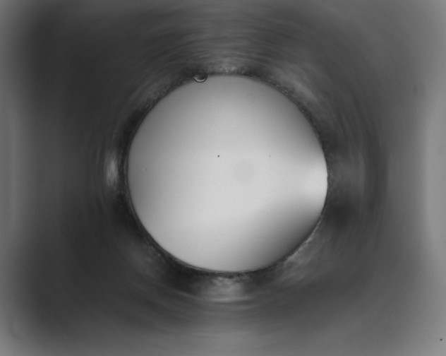 X0000089400166200706291413