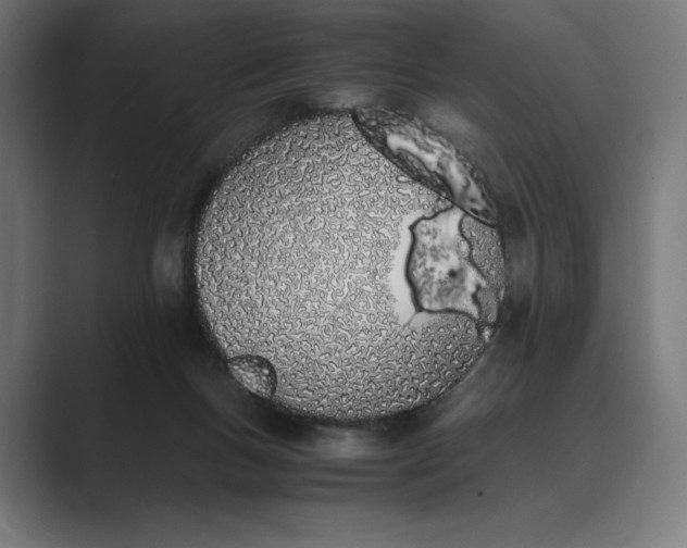 X0000089400167200706291413