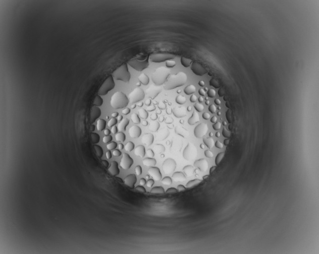 X0000089400169200706291413