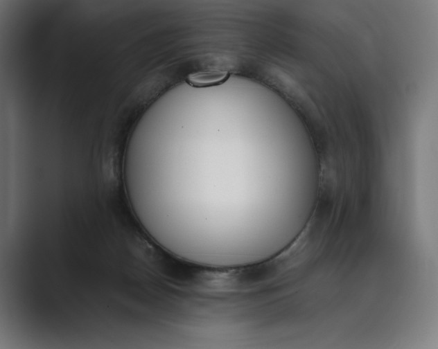 X0000089400170200706291413