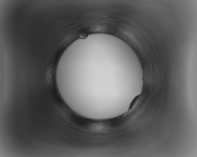 X0000089400171200706291413