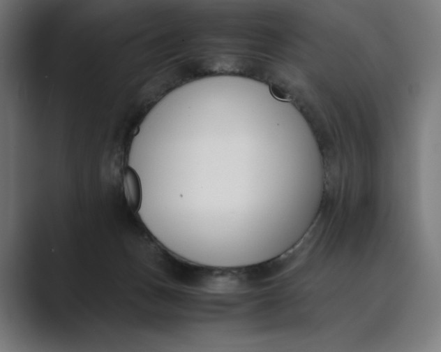 X0000089400175200706291413