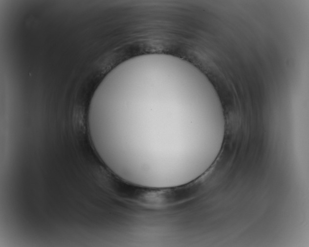 X0000089400178200706291413