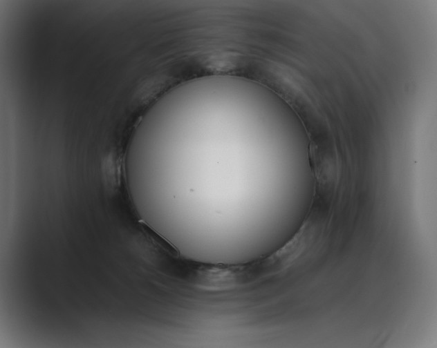 X0000089400180200706291414