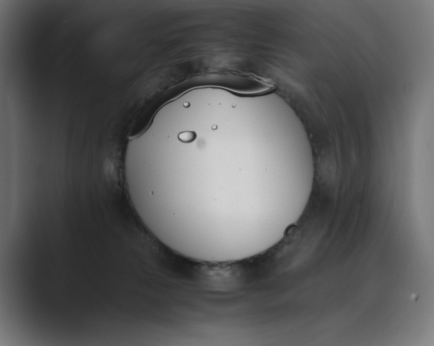 X0000089400181200706291414