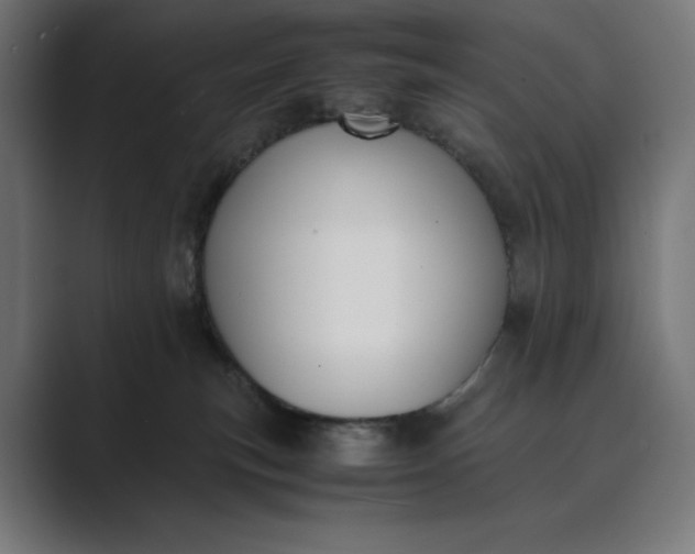 X0000089400183200706291414