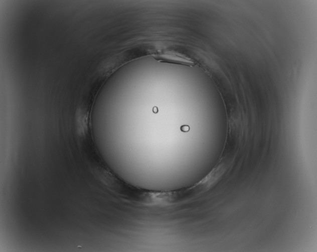 X0000089400188200706291414