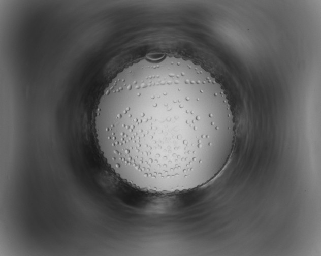 X0000089400191200706291414