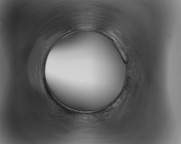 X0000089400193200706291413