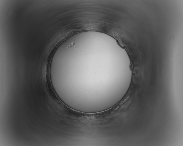 X0000089400194200706291413