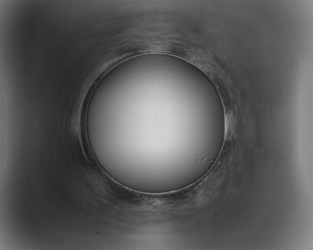 X0000089400195200706291413