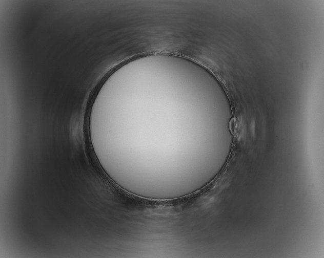 X0000089400196200706291413