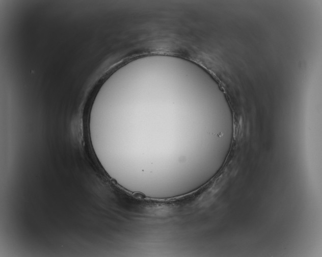 X0000089400198200706291413